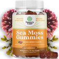 Natures Craft Irish Sea Moss Gummies for Women, Men & Kids - Immune Support Supplement with Irish Sea Moss, Bladderwrack & Burdock Root - Detox Gummies for Body Cleanse - 90 Chewable Gums