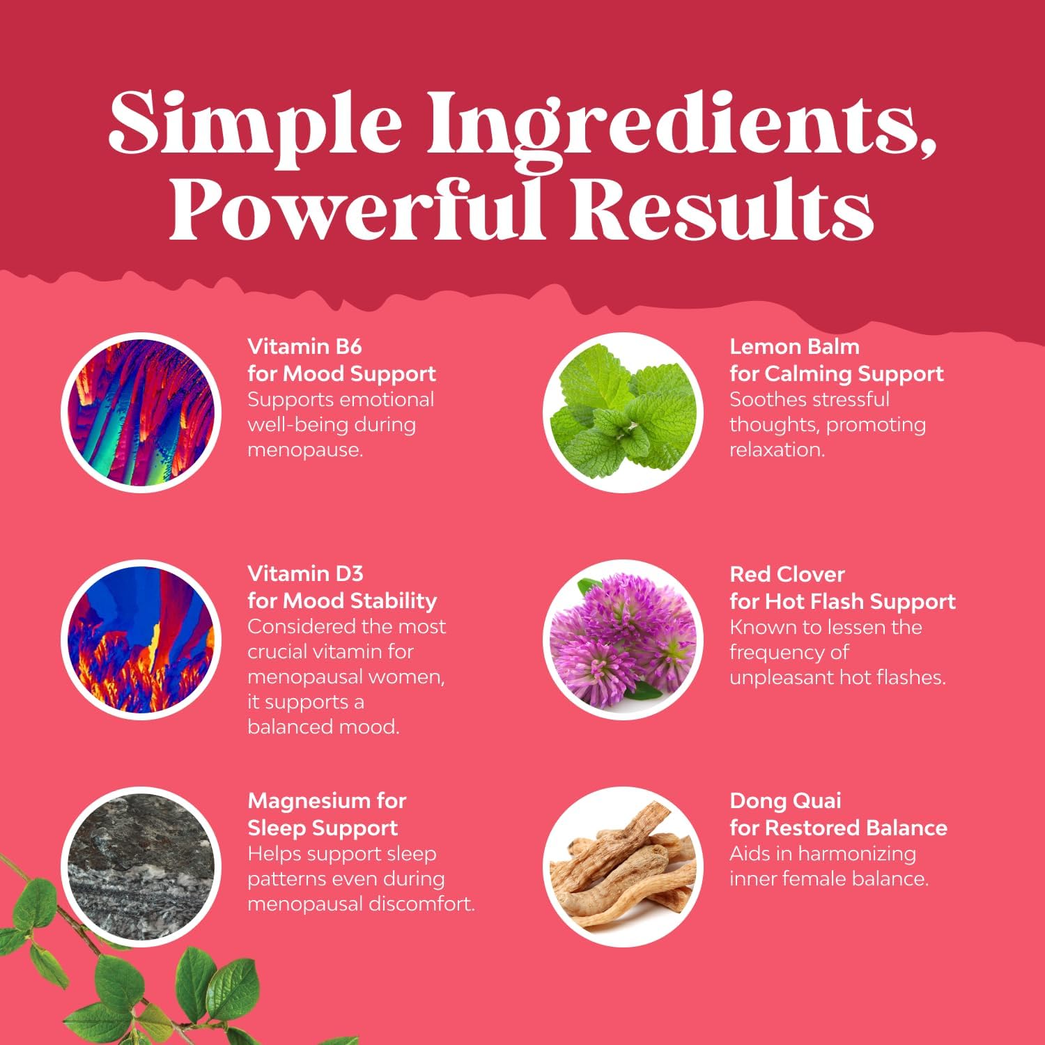 Complete Herbal Menopause Supplement for Women - Multibenefit Menopause Ease Hormone Balance for Women for Night Sweats Mood and More with Dong Quai Vitex Chaste Berry and Black Cohosh - Mini Caps
