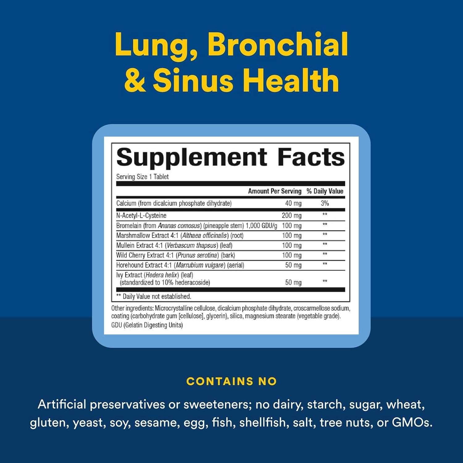 Natural Factors Lung, Bronchial & Sinus Health, Natural Supplement for Respiratory Health and Easy Breathing, 90 Tablets