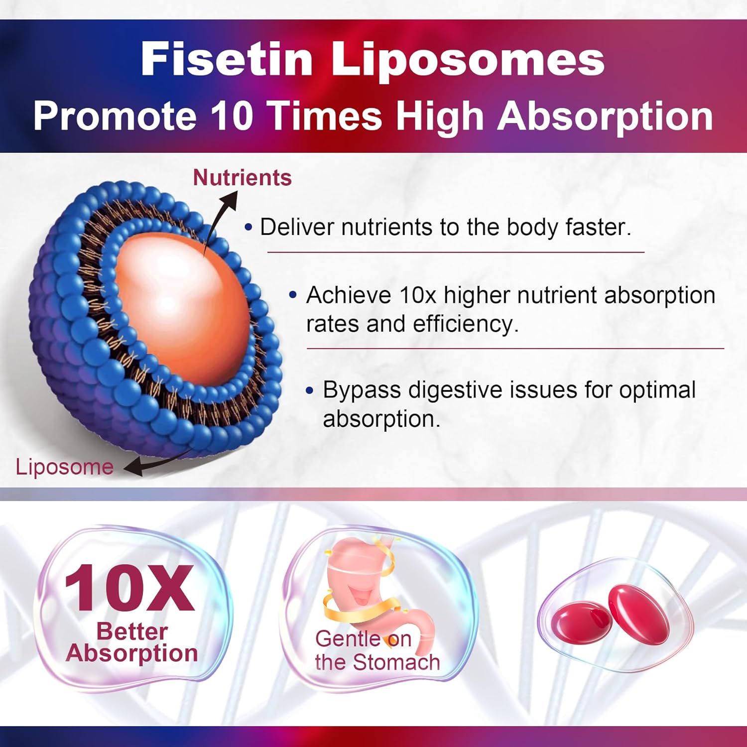 Fisetin Supplement - Liposomal Super Absorption 98% Pure 1200mg with Quercetin, Resveratrol, Green Tea Extract for Healthy Aging & Longevity, Skin Health, Brain & Antioxidant - 60 Softgels