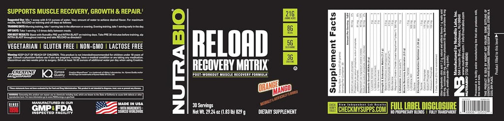 NutraBio Reload - Powerful Muscular Recovery Formula - Post-Workout Supplement - 3G Creatine - 8G BCAAs - 5G Glutamine - 30 Servings, Orange Mango