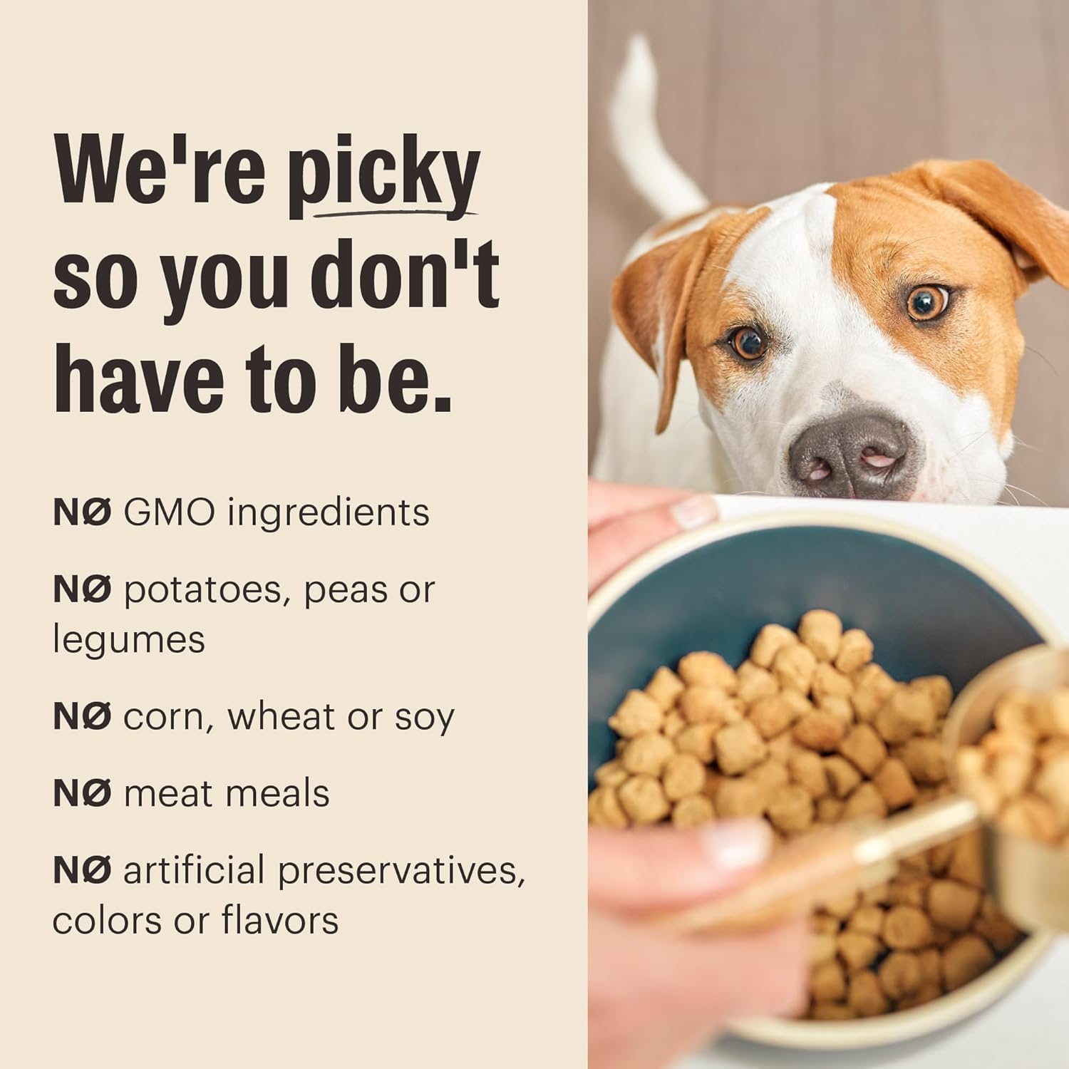 The Honest Kitchen Whole Food Clusters Whole Grain Chicken & Oat Dry Dog Food, 20 lb Bag