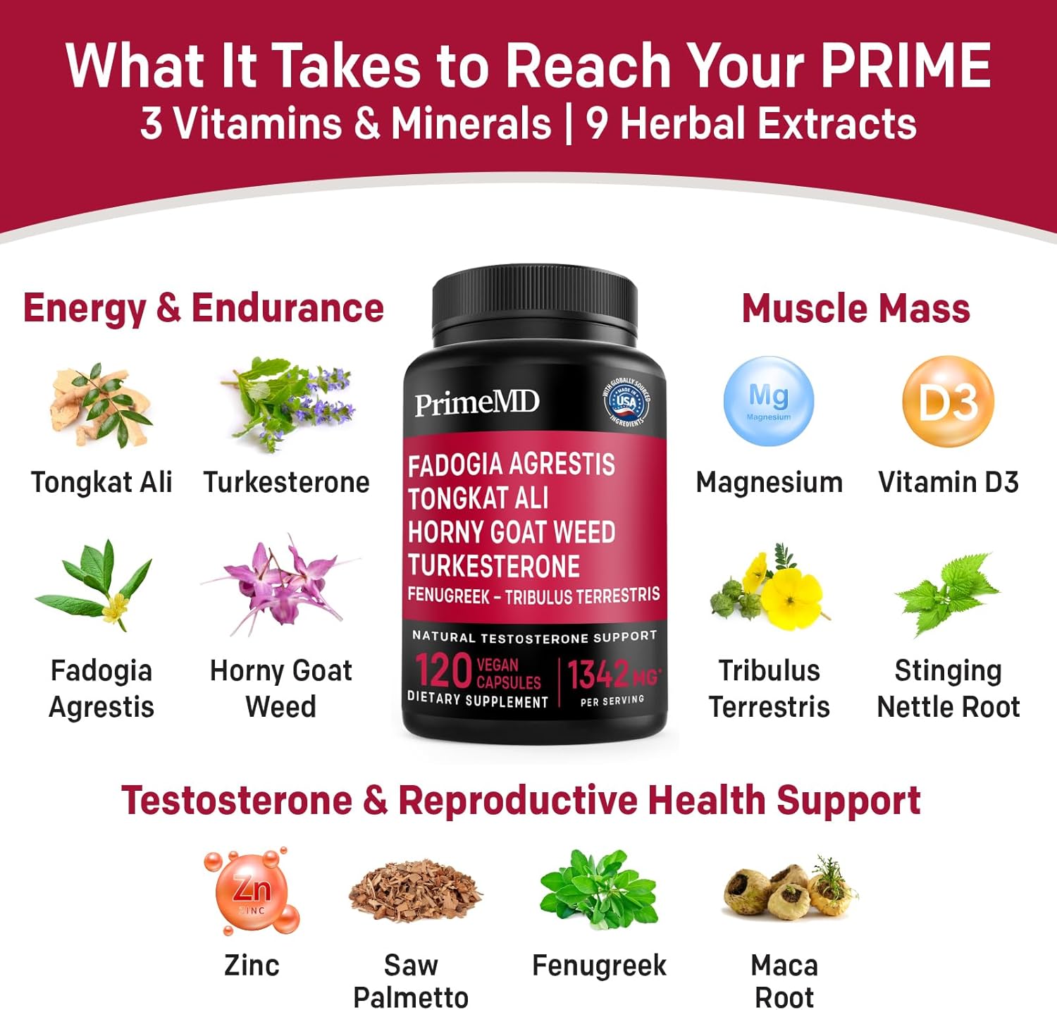 12-in-1 Fadogia Agrestis and Tongkat Ali for Men - Testosterone Supplement for Men with Turkesterone - Men's Health Supplement For Overall Well-being with 1342mg Per Serving (120 capsules) (Pack of 1)
