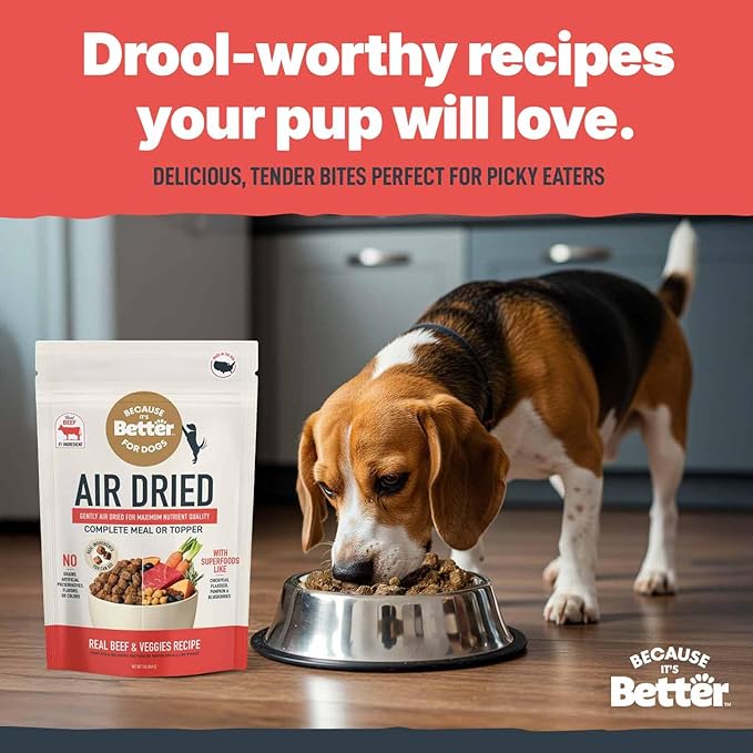 Because It's Better Slow Baked and Air Dried Dog Food, Real Beef and Veggies, 1lb Bag, Complete and Balanced Dry Dog Food, for All Life Stages