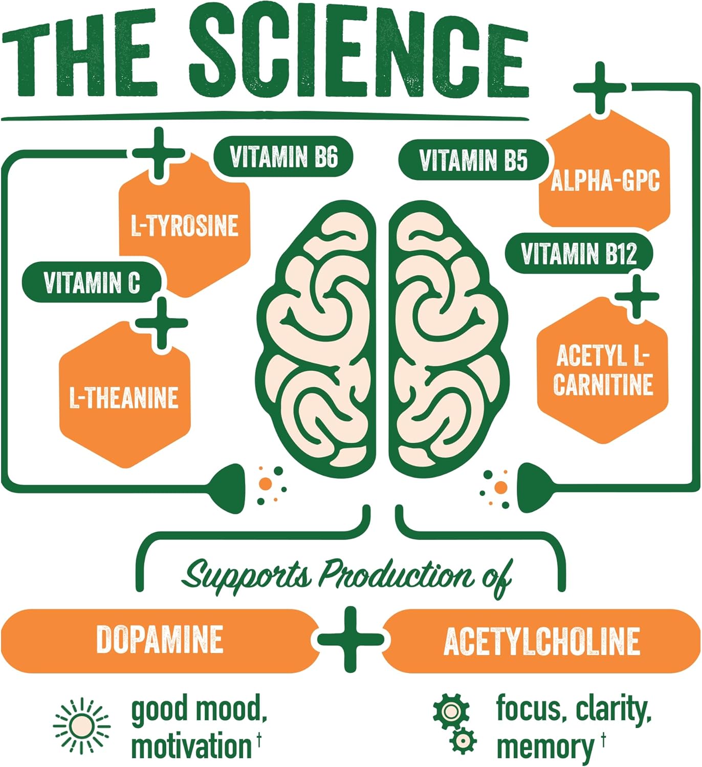 BrainJuice Active Pomegranate Acai Daily BrainPower Mix - 15 Servings