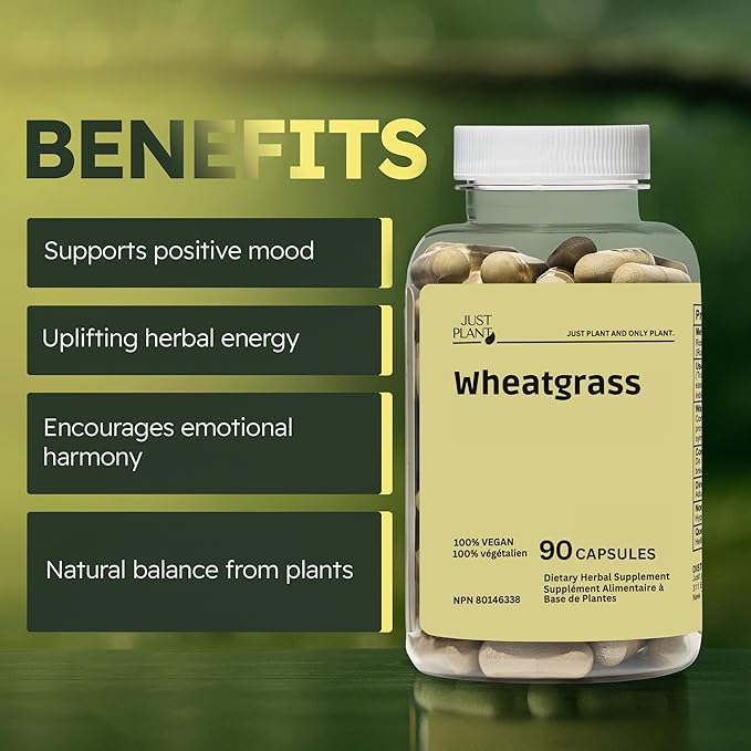 Organic Wheatgrass Capsules 500 mg, 90 Vegan Capsules | Detox, Energy, Digestion & Immune Support | Chlorophyll-Rich Green Superfood, Vegan, Gluten-Free