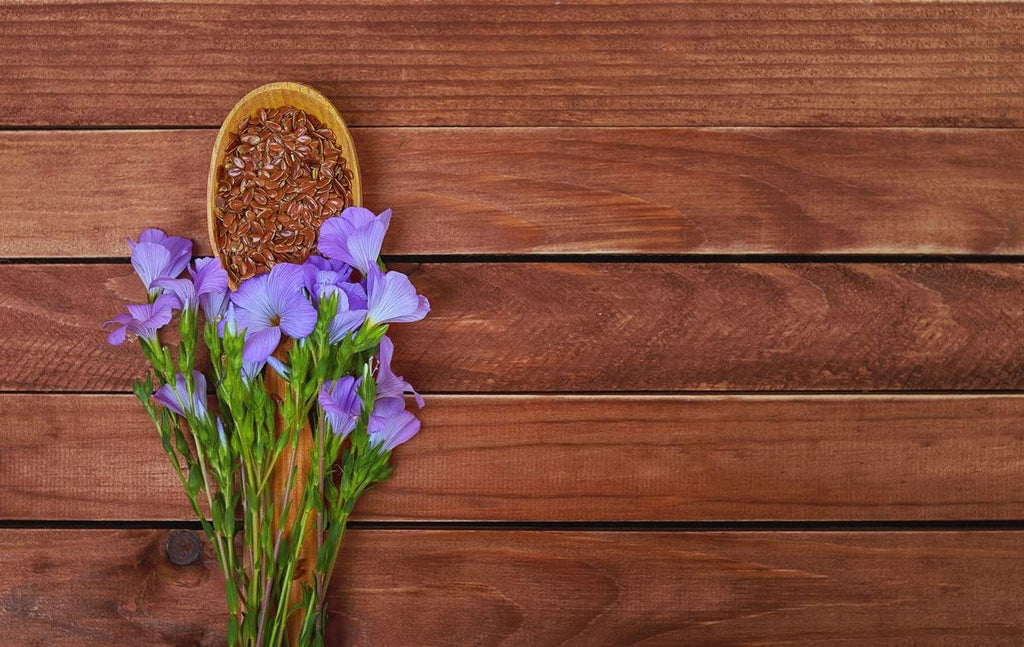 Food to Live Organic Brown Flax Seeds, 8 Ounces – Whole Raw Flaxseeds, Non-GMO, Unroasted, Dried, Kosher, Vegan. Rich in Omega-3 Fatty Acids, and Dietary Fiber. Perfect for Salads, and Baked Goods.
