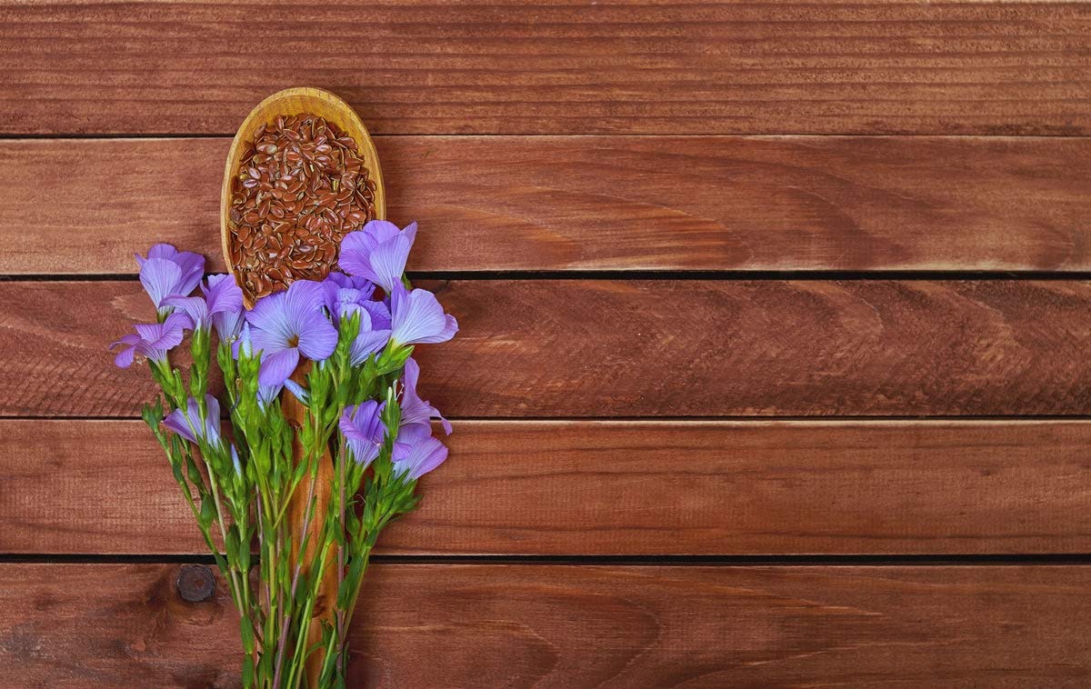 Food to Live Organic Brown Flax Seeds, 8 Ounces – Whole Raw Flaxseeds, Non-GMO, Unroasted, Dried, Kosher, Vegan. Rich in Omega-3 Fatty Acids, and Dietary Fiber. Perfect for Salads, and Baked Goods.