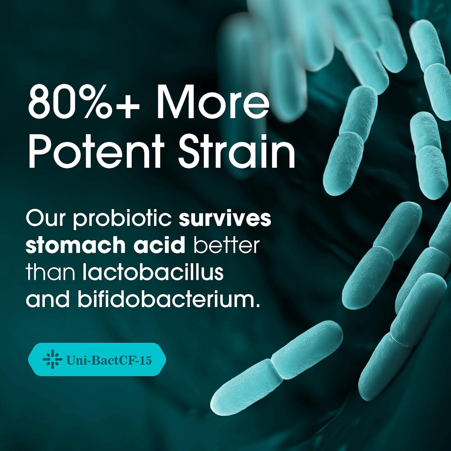 Nutrition Essentials Probiotics for Women and Men - with Lactase Enzyme and Prebiotic Fiber for Digestive Health - 80 Percent + More Potent Supplement for Gut Health Support - Vegan Formula
