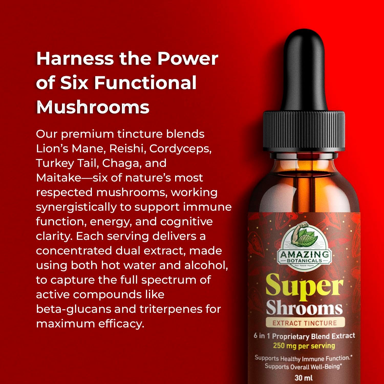 Super Shrooms 6 in 1 Mushroom Wellness Tonic – Chaga, Lion’s Mane, Reishi, Shiitake, Cordyceps, Turkey Tail – Alcohol-Free – Organic Mushroom Liquid Extract Tincture – 250mg per serving