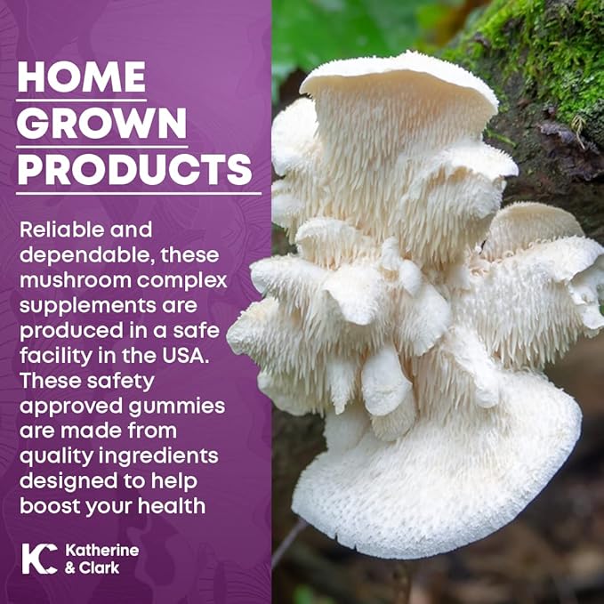Brain Gold - Super Mushroom Gummies Aid Immune Support - Lions Mane Mushroom Supplement Natural Raspberry Flavor - Daily Reishi Mushroom Capsules Support Well-Being Mushroom Complex