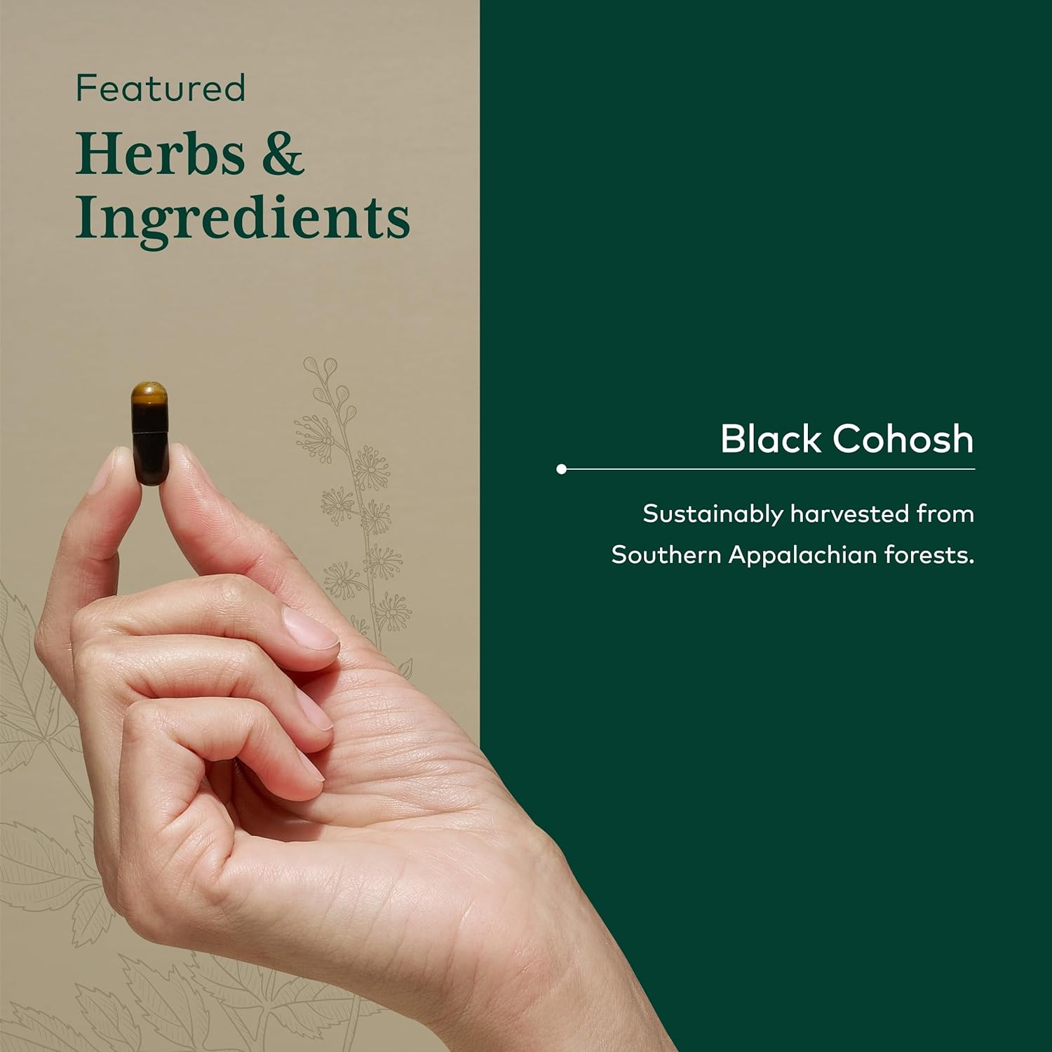 GAIA HERBS PRO Black Cohosh PRO - Healthy Perimenopause & Post Menopause Support Supplement* - Women's Health Supplement with Black Cohosh Root Extract - Vegan - 60 Liquid Phyto-Caps (60 Servings)