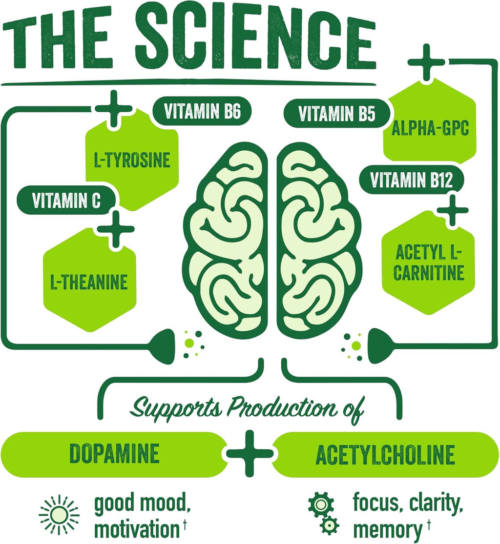 BrainJuice Nootropics Brain Support Supplement, Gluten Free Powder for Energy and Focus, Drink Mix with L Theanine, Alpha GPC, Vitamin B, Organic Green Tea Extract Caffeine, Classic, 15 Servings