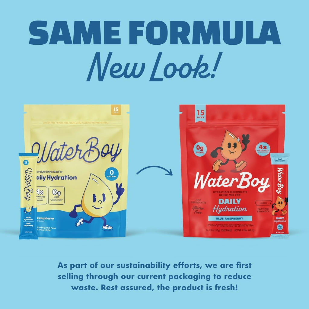 Waterboy Daily Hydration | 1,570mg Electrolyte Powder Packets | No Sugar, All Natural, Gluten Free, Zero Calories | 15 Drink Stick Mixes (Blue Raspberry)