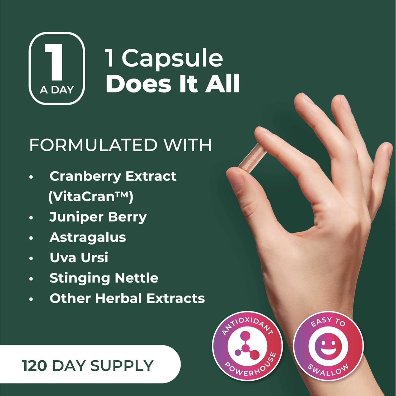 PurePremium Supplements Kidney Support Supplement for Men & Women - with Cranberry Extract for Urinary Tract, Normal Bladder Function & Supports Kidney's Health - 4 Months Supply - 120 Capsules