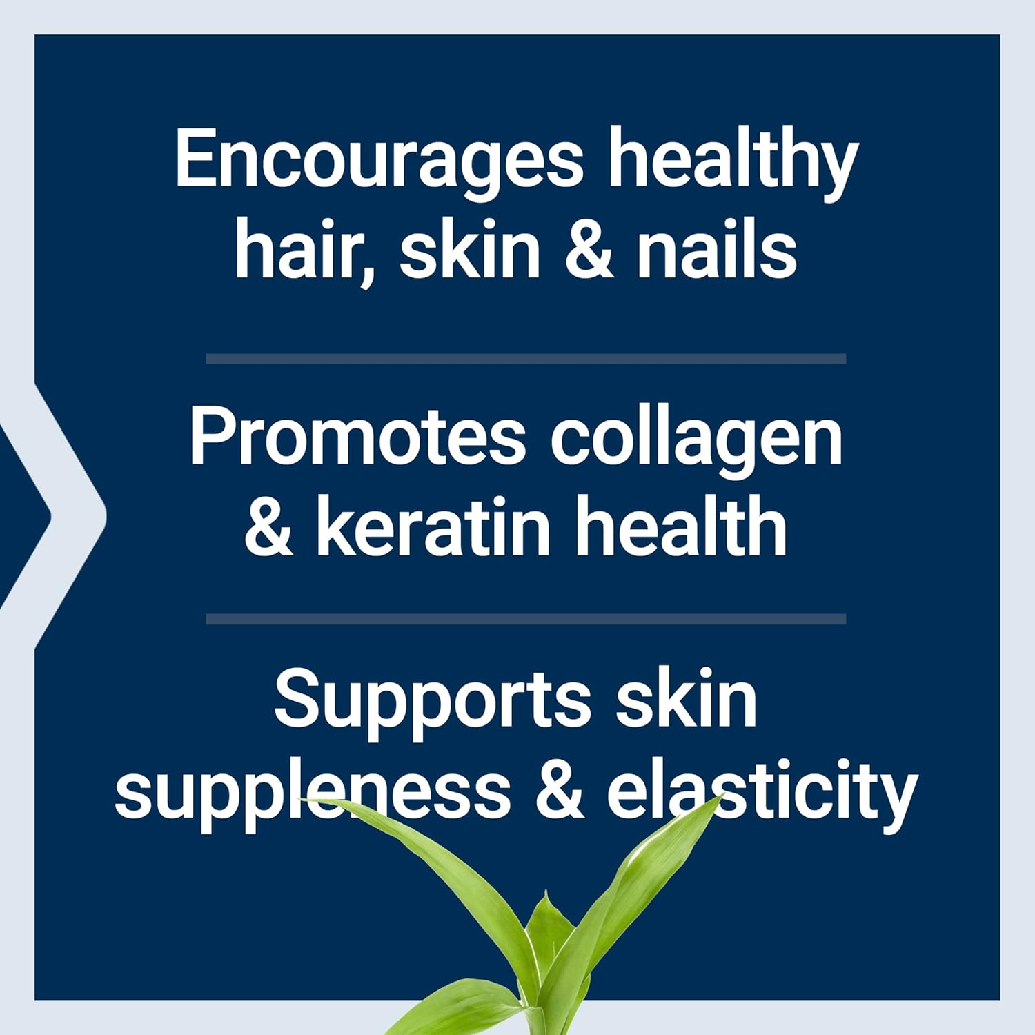 Life Extension Hair, Skin & Nails Collagen Plus Formula - Promotes Collagen & Keratin Health - with Niacin, Vitamin B6, Biotin, Calcium & Zinc - Non-GMO – 120 Count(Pack of 1)