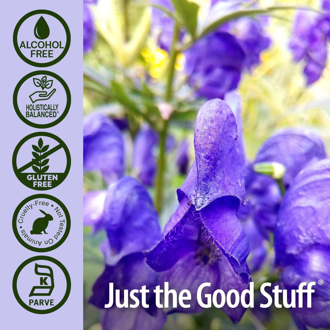 Nature's Answer Alcohol-Free Skullcap Herb, 1-Fluid Ounce