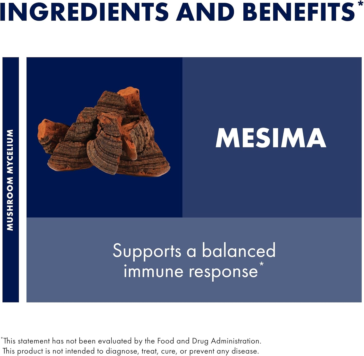 Host Defense Mesima Capsules - Herbal Antioxidant Activity & Immune System Support Supplement - Mushroom Supplement to Support Balanced Immune Response - 60 Capsules (30 Servings)*