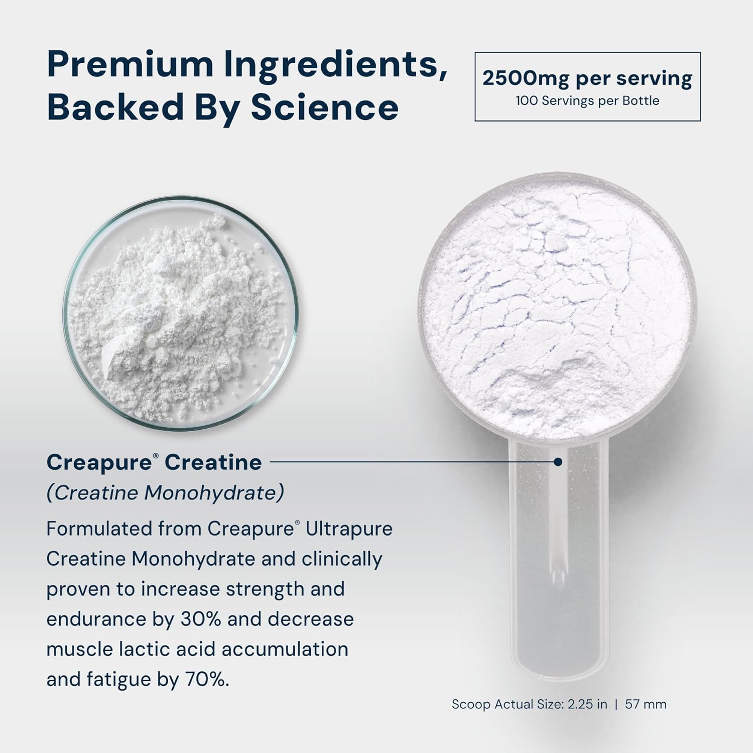 HPN C2 Creatine Monohydrate for Performance, Recovery, Strength, Working Out, Vegan, Non-GMO, Dairy and Soy Free, Independently Tested, Ultrapure Premium Creapure (100 Servings)
