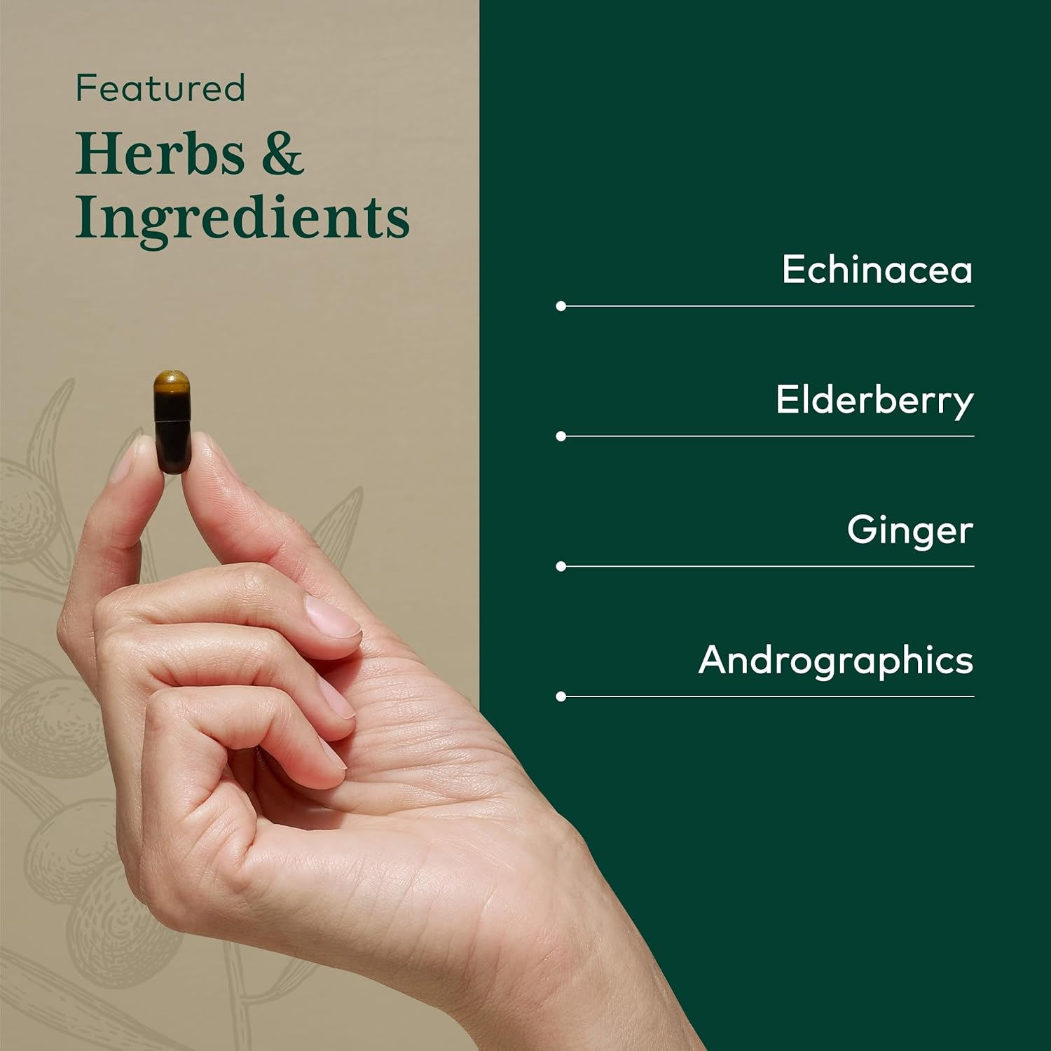 Gaia Herbs Pro Immune Activator - Immune Support Supplement - Features Echinacea, Ginger Root, Elderberry & Andrographis - Vegan, Dairy-Free & Gluten-Free - 40 Liquid Phyto-Caps (20 Servings)