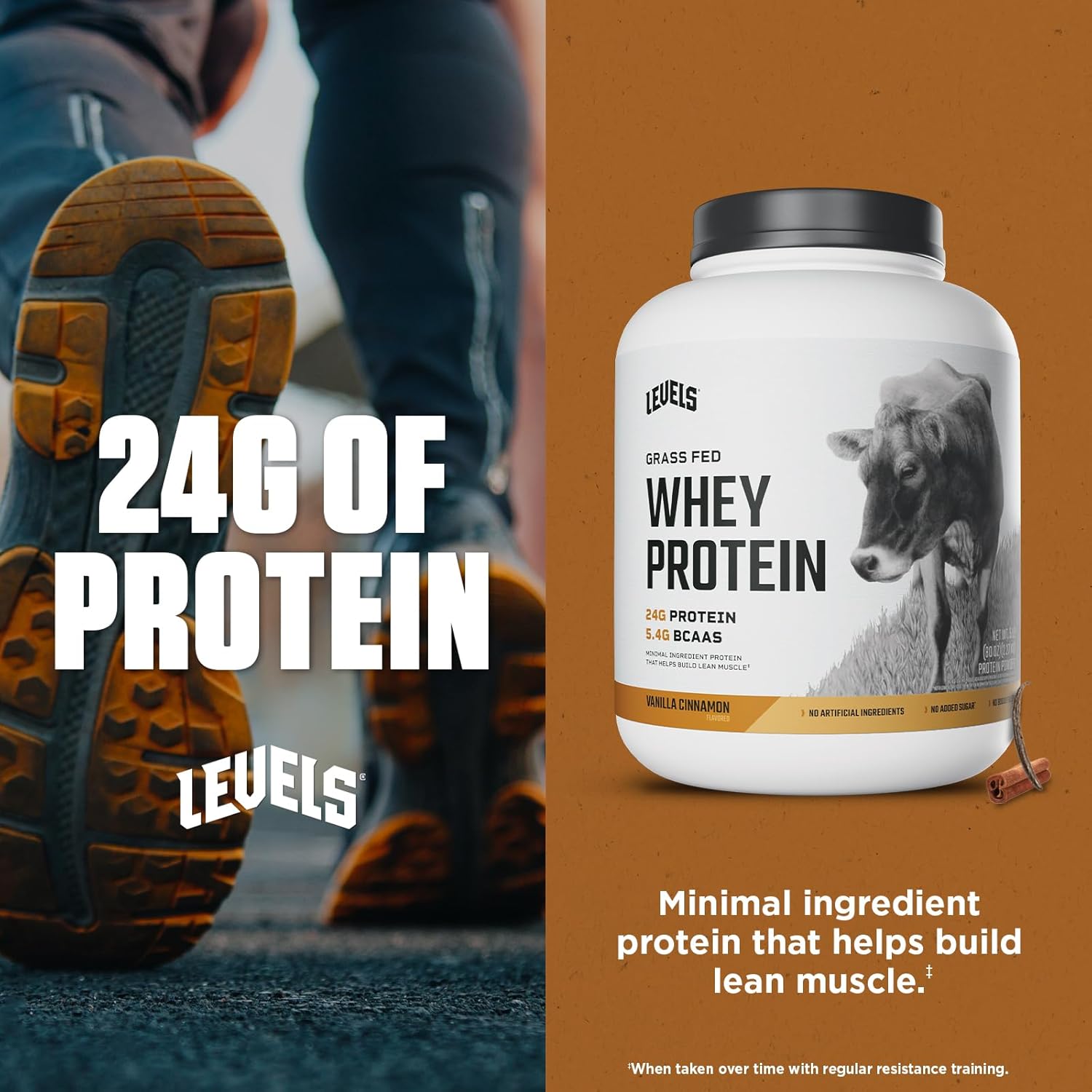 Levels Grass Fed Whey Protein Powder, No Artificials, 24G of Protein, Vanilla Cinnamon, 5LB