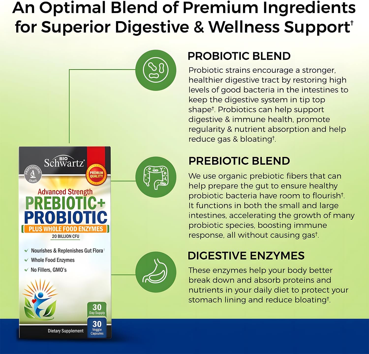Advanced Prebiotics and Probiotics for Women & Men, Immune, Digestive & Gut Health with L. Reuteri, Inulin Fiber, Digestive Enzymes, Non-GMO, Gluten-Free, Dairy-Free, 30 Capsules