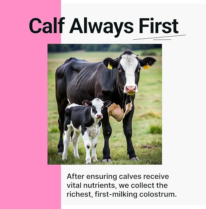 SonoHealth Cowabunga Colostrum - Premium, Pure & Unaltered Colostrum Powder Supplement - for Immune Support, Gut Health, Muscle Support & Wellness - Kosher & Halal Certified Calostro
