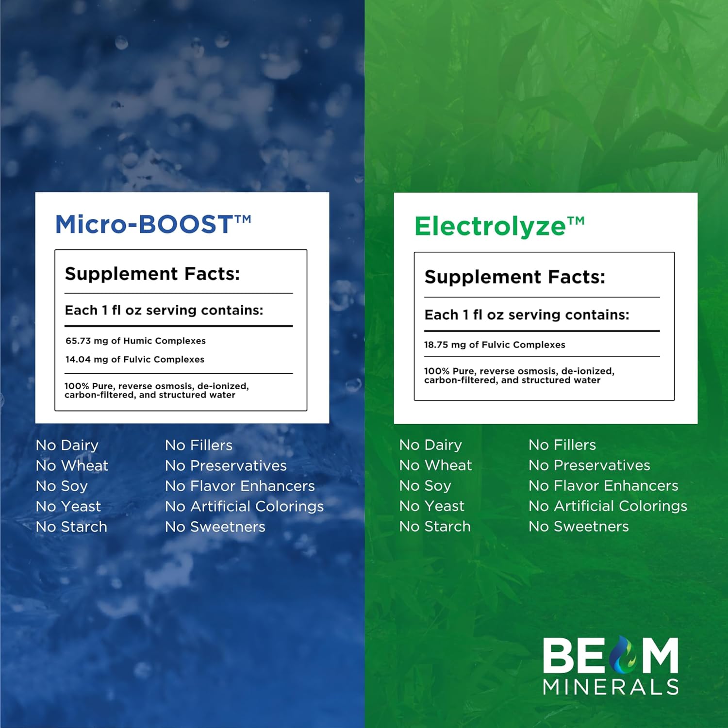 BEAM Minerals Micro-Boost and Electrolyze Advanced Set | Advanced Electrolyte & Micronutrient Support | 100% Bioavailable, Ionized Format