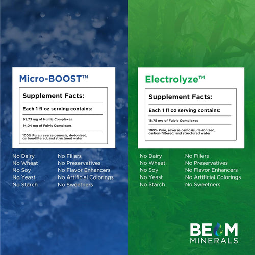 BEAM Minerals Micro-Boost and Electrolyze Advanced Set | Advanced Electrolyte & Micronutrient Support | 100% Bioavailable, Ionized Format