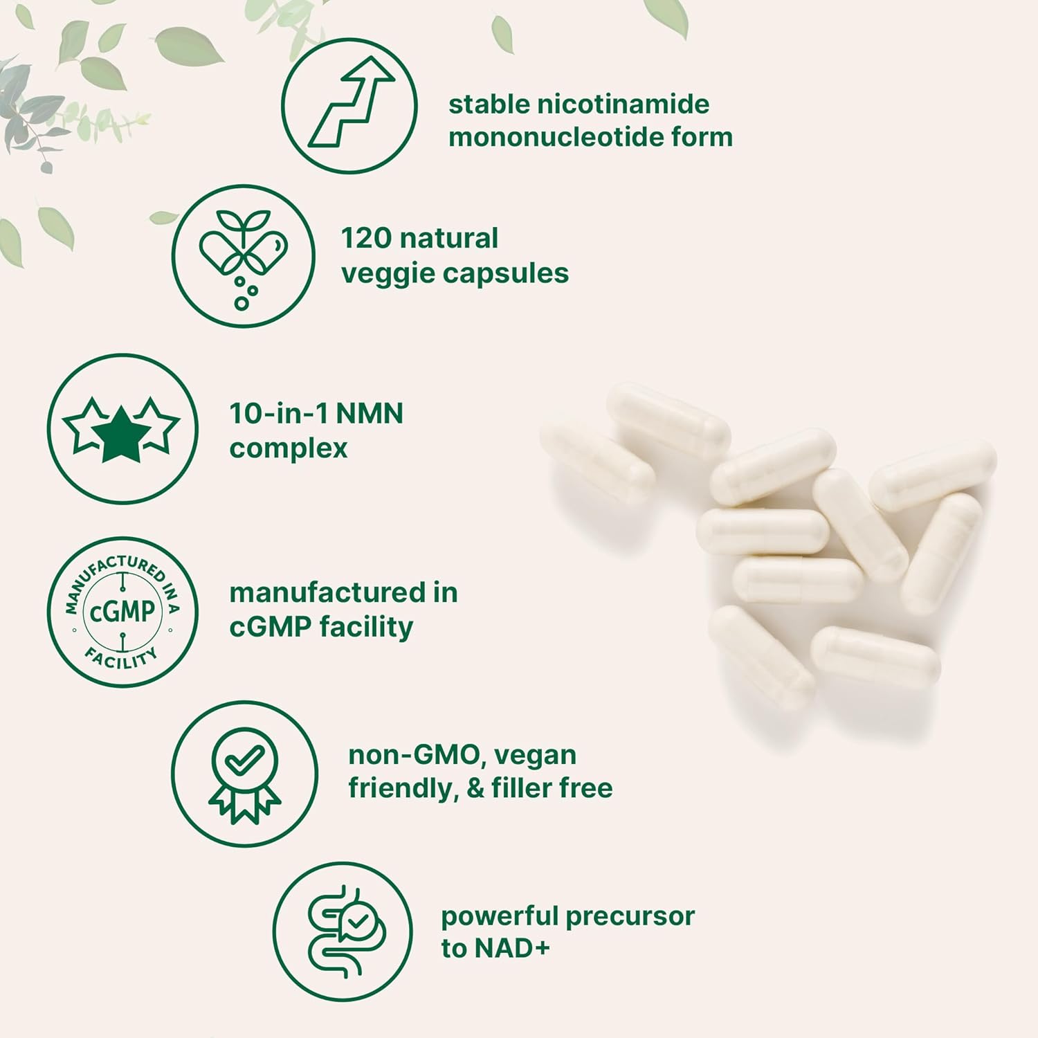 NMN Complex 1,000mg Per Serving, 120 Veggie Capsules | 10-in-1 with Nicotinamide Mononucleotide, Vitamin C, Resveratrol, CoQ10, TMG, Quercetin, & Glutathione | NAD+ Supplement Precursor | Filler Free