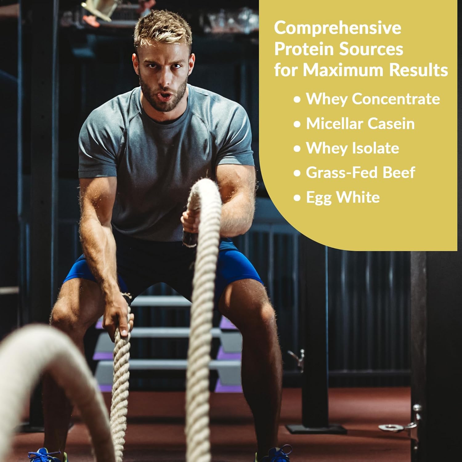 Granite Nutrition Protein Powder - Premium 5-Source Blend (Whey, Casein, Egg, Grass-Fed Beef) for Lean Muscle and Recovery - Vanilla Ice Cream, 30 Servings