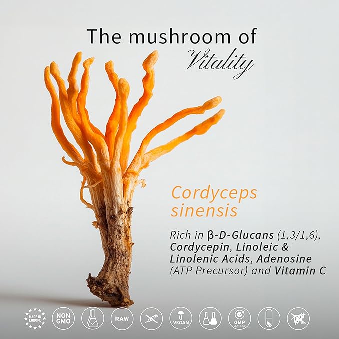 HIFAS DA TERRA Mico-Cord - Cordyceps Mushroom Capsules, Mushroom Supplement, Adaptogen Extract Powder Pills for Women & Men, Nootropic Brain Aid for Calm, Focus, & Memory - 70 Vegan Capsules
