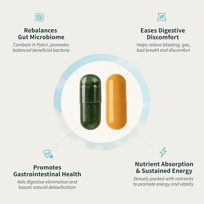Snap Supplements Gut Health & Organic Spirulina Chlorella Bundle–Probiotic + Digestive Enzymes + Greens–Supports Digestion, Detox, Energy & Immune Health, 50 + 120 Vegetarian Capsules (1 Month Supply)