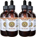 Elecampane Liquid Extract, Organic Elecampane (Inula Helenium) Tincture Supplement 4x4 oz