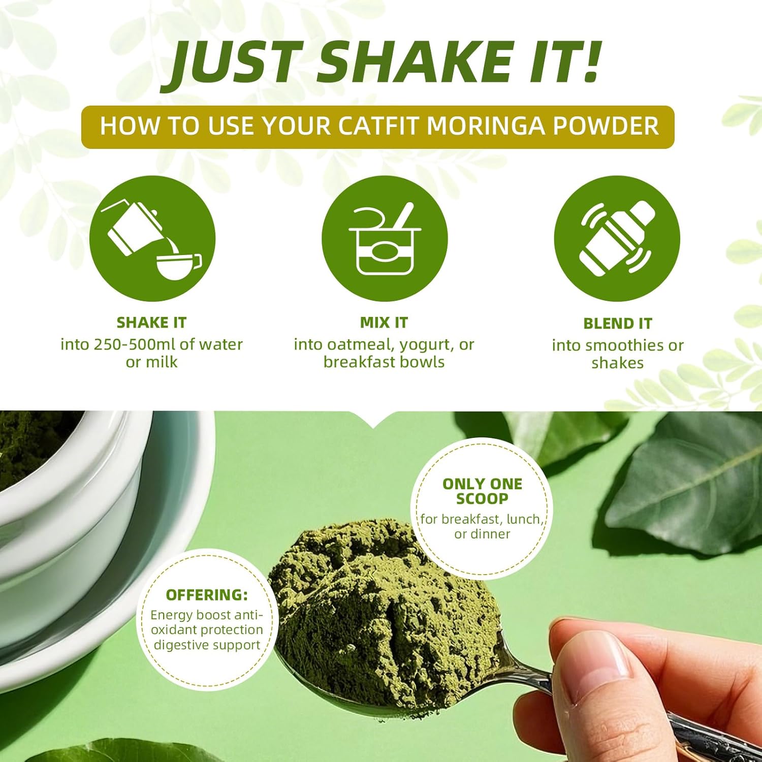 Moringa Powder with Matcha, Green Tea and Resveratrol, 4-in-1 Superfood for Energy, Immune, Digestion and Antioxidant Support, Vegan, Gluten-Free, 8oz