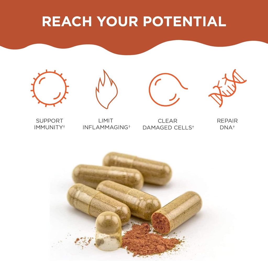 Healthycell Telomere Length + AC-11 | DNA Repair Supplements for Anti-Aging and Cell Health