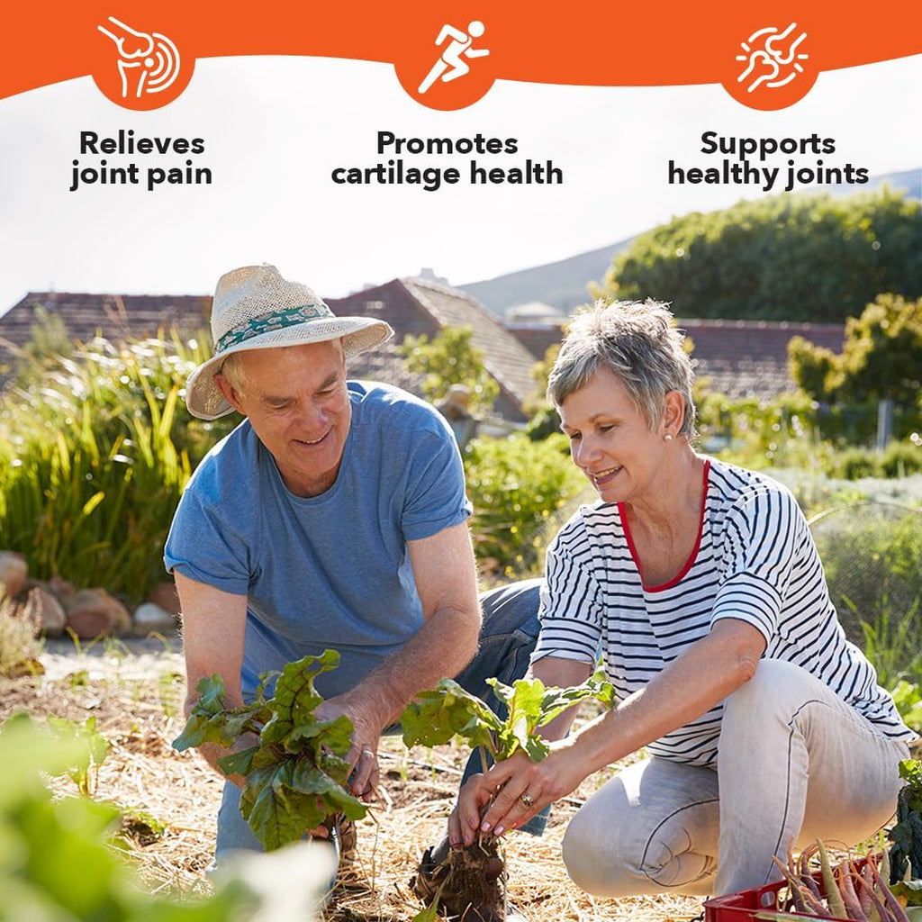 LifeSeasons Mobili-T - Joint Support Supplement - Reduce Inflammation & Aches - Increase Range of Motion - Rebuild Tissue & Cartilage - MSM Chondroitin Collagen Glucosamine & Turmeric - 120 Capsules