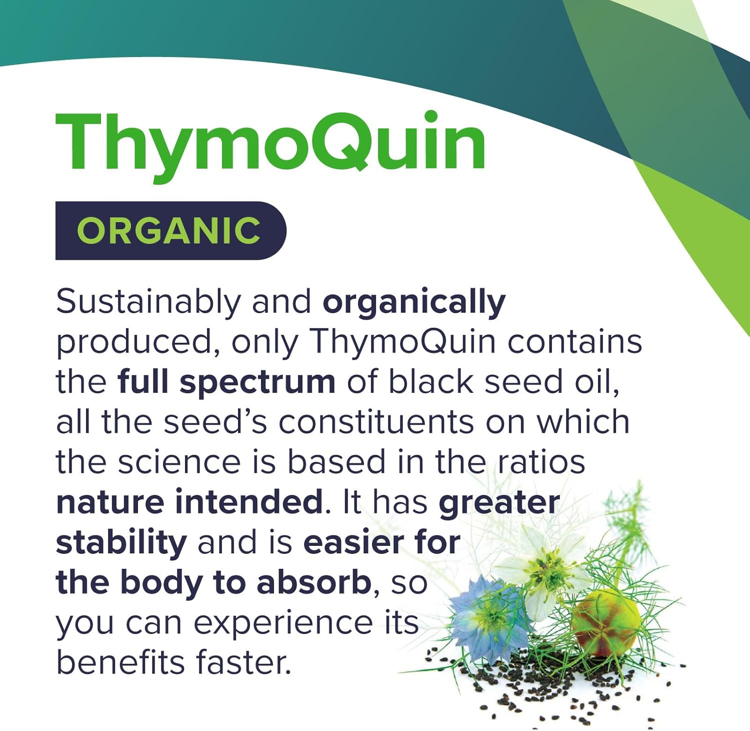 Organic Cold-Pressed Black Seed Oil Capsules for Skin, Joint, Metabolic & Immune Health | USP-Grade Pure Nigella Sativa with 3% Thymoquinone | Non-GMO Black Cumin Seed Oil, 60 Softgel