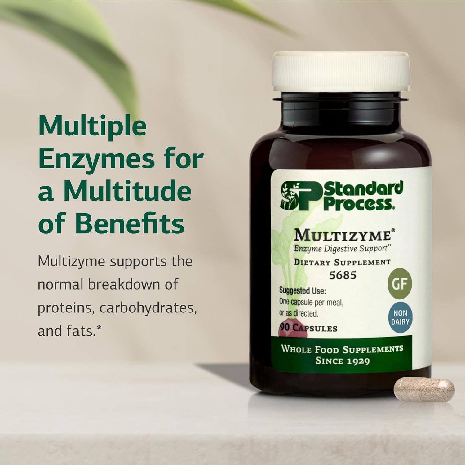 Standard Process Multizyme - Whole Food Pancreas Support, Pancreatin Digestive Enzymes, Digestive Health and Pancreatic Enzymes with Cellulase, Papain, Amylase, Lipase and More - 90 Capsules