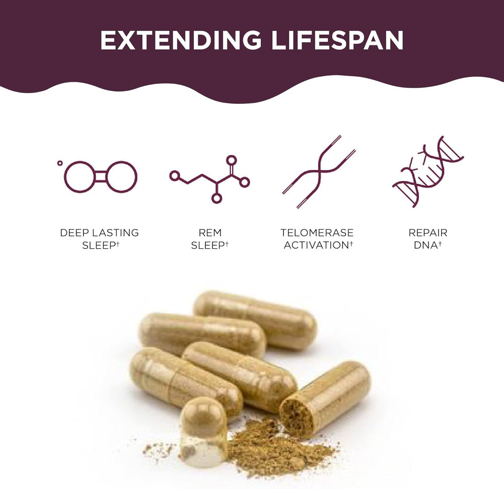 Healthycell Telomere Length Healthy Aging Supplement + Bioactive Multivitamin for Women & Men Bundle