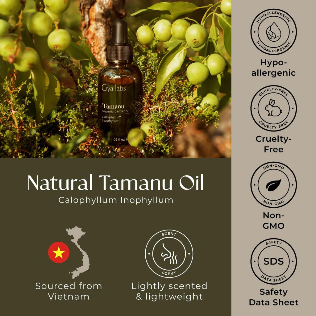 Gya Labs Organic Tamanu Oil For Skin & Face - 100% Pure Natural Unrefined Tamanu Carrier Oil for Hair - Soothing & Renewing (1 Fl Oz)