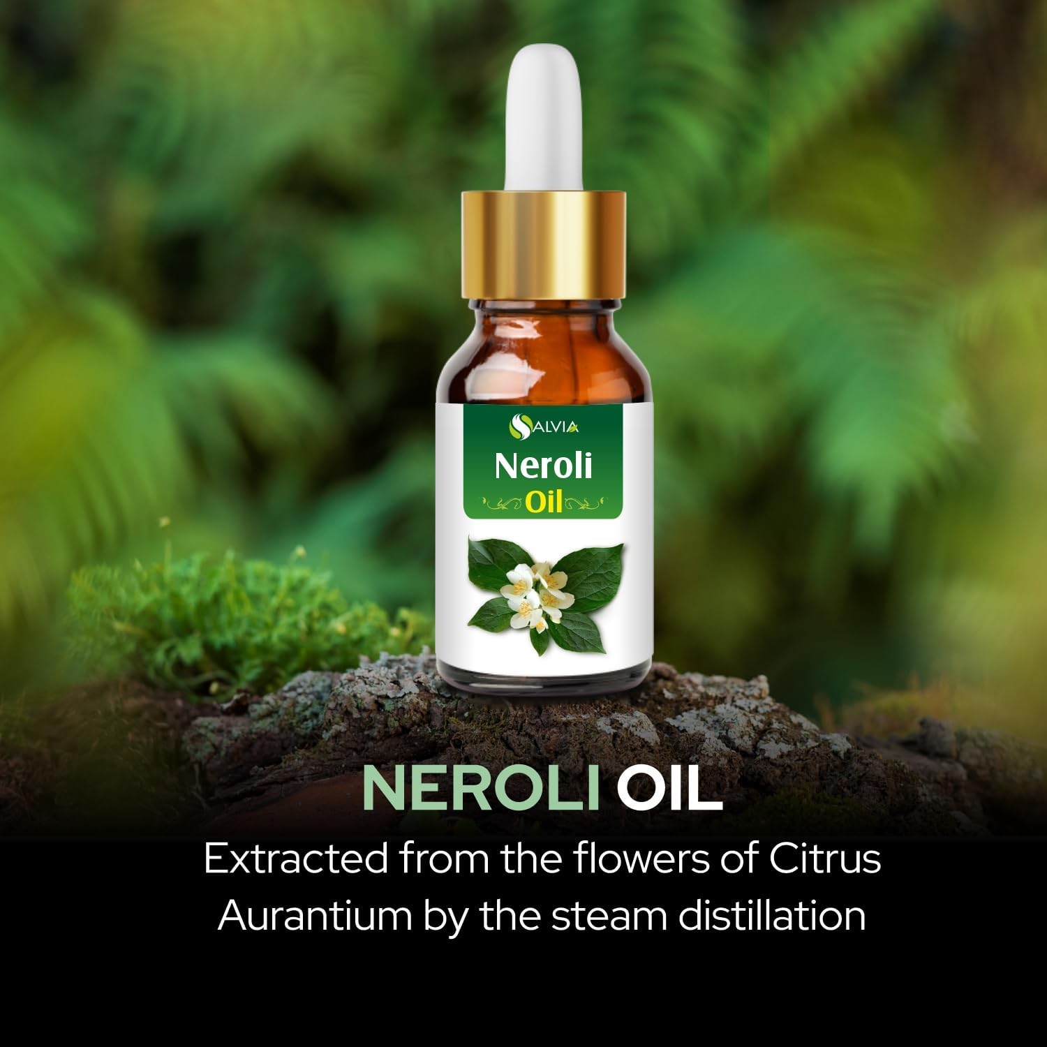 Neroli Oil (Citrus Aurantium) 15 ML with Dropper Therapeutic Essential Oil Amber Bottle 100% Natural Uncut Undiluted Pure Cold Pressed Aromatherapy Premium Oil by Salvia