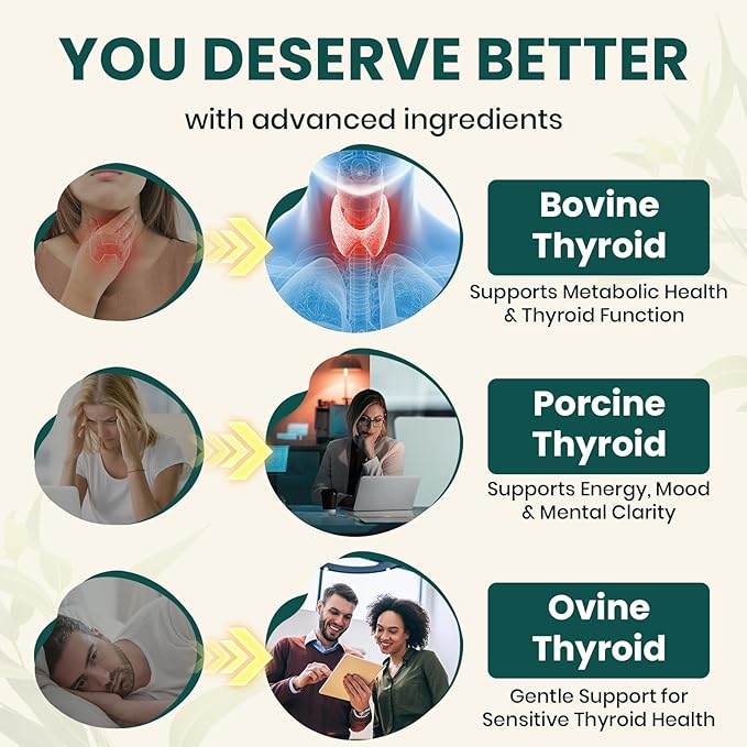 Thyroid Supplement – TriDexThyro™ Raw Desiccated Thyroid Complex 375 mg with Bovine, Porcine & Ovine –120 Capsules for Women and Men（1 Pack）