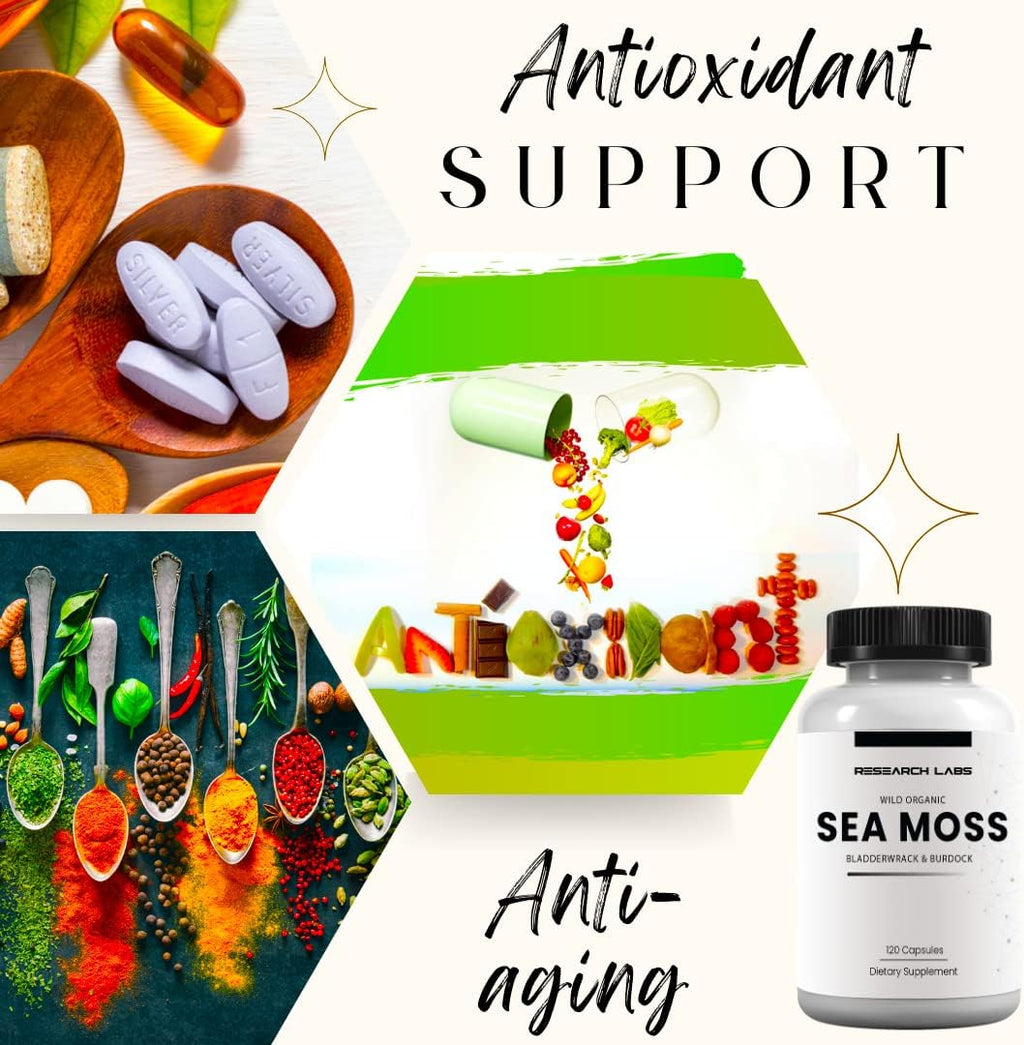 Research Labs 2 Fer 1 Ad Organic Irish Sea Moss Capsules 240 Total Pills, Raw Wildcrafted Seamoss Enhanced w/Bladderwrack & Burdock Root Antioxidant Powerhouse. Thyroid Support