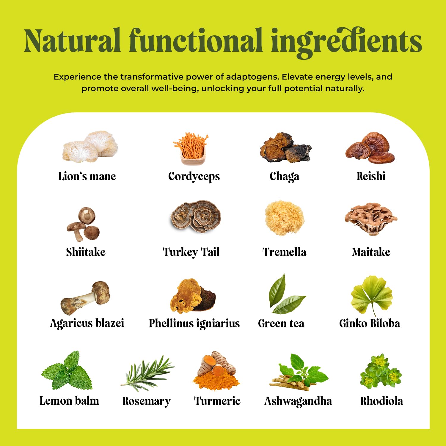 20 in 1 Mushroom Tea with Lion’s Mane, Ashwagandha, Cordyceps, Reishi, Chaga, Ginkgo Biloba, Green Tea for Better Energy and Focus - Caffeine Free Adaptogenic Tea for Wellness - 20 Tea Bags
