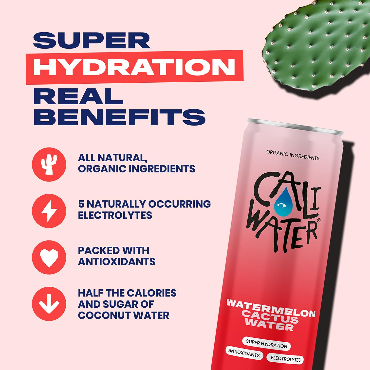 Caliwater - Organic Cactus Water - Watermelon - 5g Sugar, 35 Calories - Half Sugar of Coconut Water - Natural Plant Based Hydration - Skin Care, Electrolyte Drinks - Flavored Water Beverages - 12 Cans