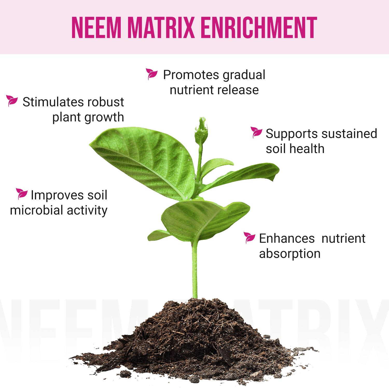 Eden Rose & Flower Organic Enriched Fertilizer | Neem Plant Food-7-5-3 Enriched Formula | for Best Flower Growth (5lbs)