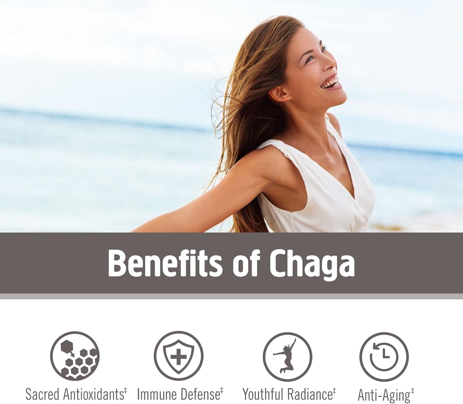 OM MUSHROOM SUPERFOOD Chaga Organic Mushroom Powder, 7.05 Ounce Pouch, 100 Servings, US Grown, Sacred Antioxidants & Immune Support, Superfood Mushroom Supplement