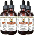Elecampane Alcohol-Free Liquid Extract, Organic Elecampane (Inula Helenium) Dried Root Glycerite Hawaii Pharm Natural Herbal Supplement 4x4 oz