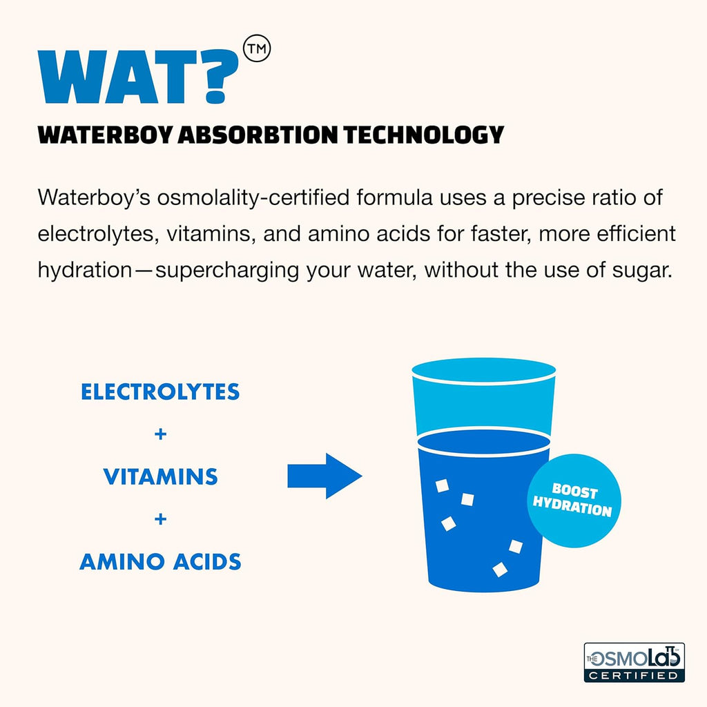 Waterboy Workout Hydration | 2,960mg Sugar Free Electrolyte Powder Packets | L-Glutamine + Vitamins | No Sugar, All Natural, Gluten Free | 15 Drink Stick Mixes (Strawberry Lemonade)